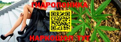 дурь Лесосибирск