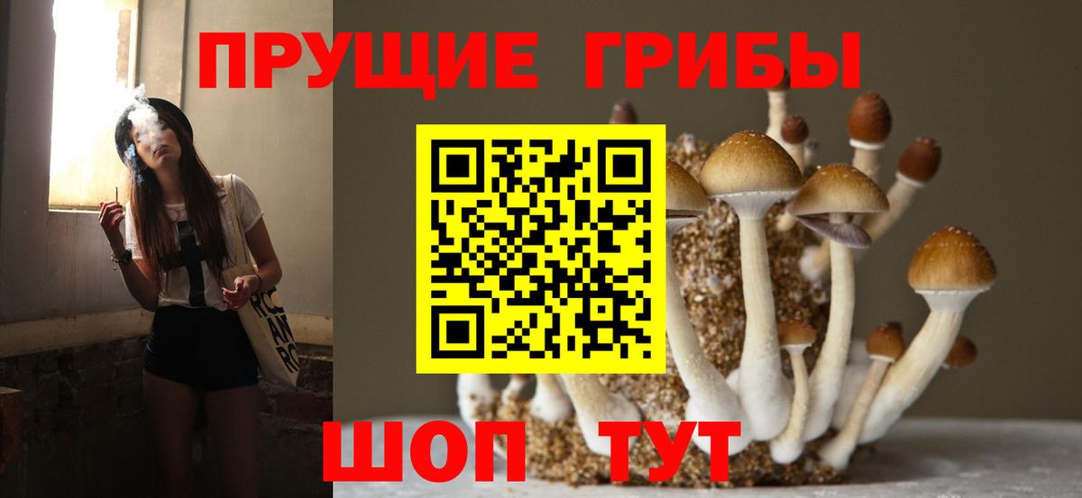 Псилоцибиновые грибы GOLDEN TEACHER Ханты-Мансийск